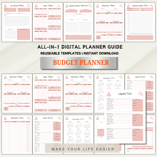 Budget Planner Template Printable, Financial Organizer, Money Management Tracker, Expense Tracker, Budgeting Tool, Budget Tracker Template