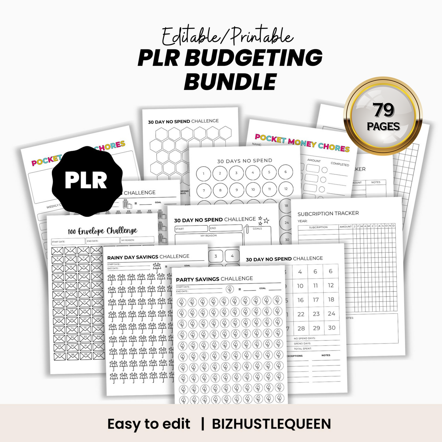 Budgeting & Finance PLR Bundle Templates for Saving, Tracking & Planning