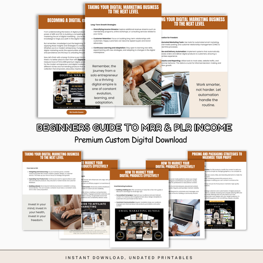 Beginner’s Guide to MRR & PLR Income – Make Passive Income with Resell Rights (Digital Download)
